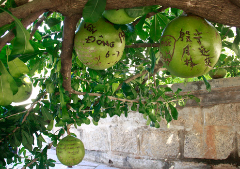 Không[-]chỉ[-]viết,[-]vẽ[-]bằng[-]tiếng[-]Việt,[-]nhiều[-]người[-]còn[-]kỳ[-]công[-]khắc[-]chữ[-]Hán[-]lên[-]trên,[-]khiến[-]những[-]trái[-]đào[-]nhăm[-]nheo.